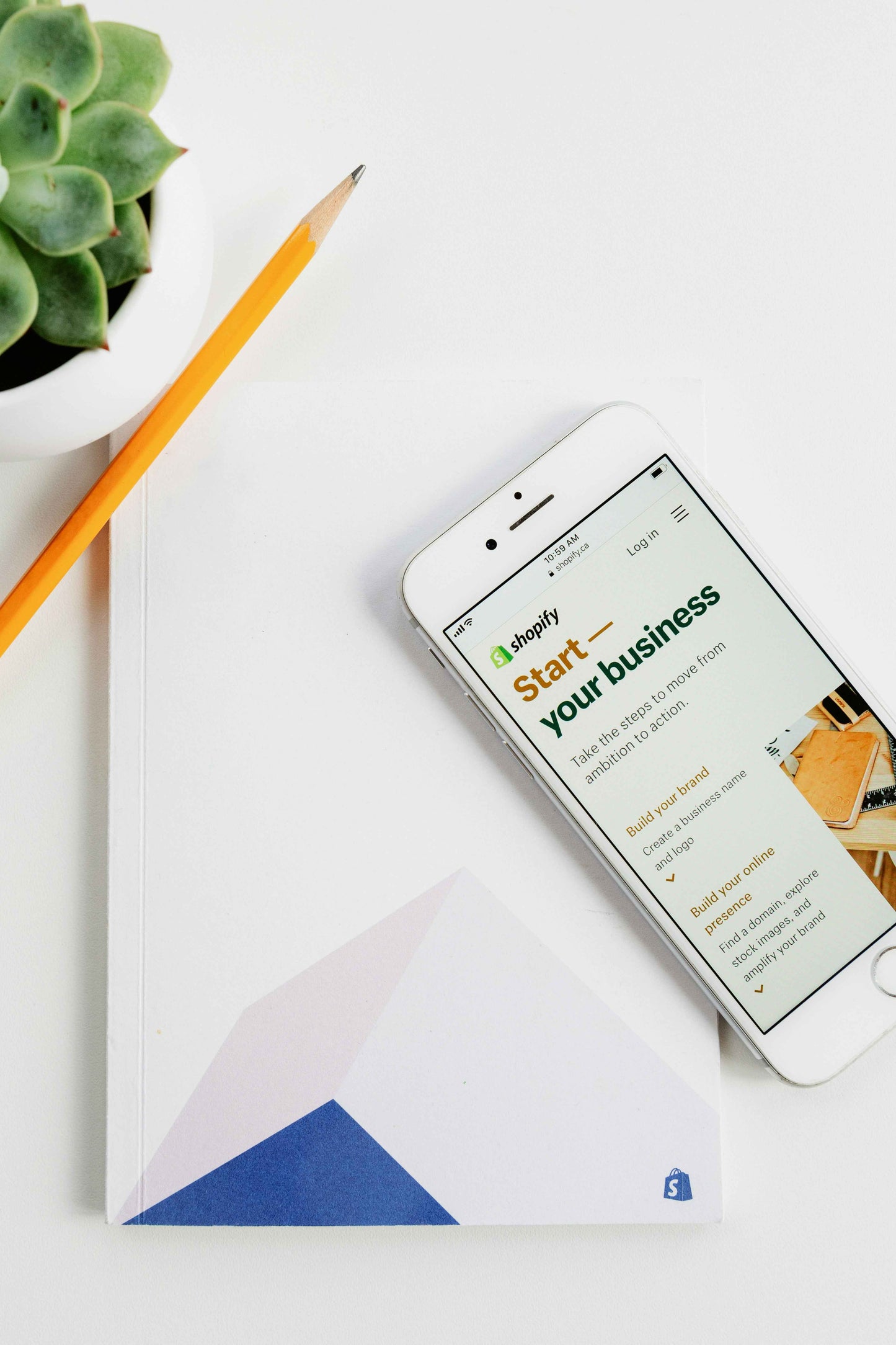 Shopify Entry Consultation